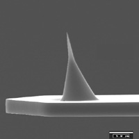 NanoSensors AR-NCH 󳤾ģʽAFM̽