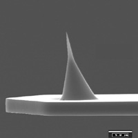 NanoSensors AR-NCH 大长径比轻敲模式AFM探针