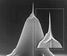 NanoSensors AR-NCH 大长径比轻敲模式AFM探针