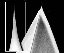 NanoSensors AR-NCH 大长径比轻敲模式AFM探针